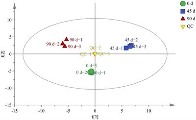 Metabolites changes of a low-temperature and low-salt fermented Chinese kohlrabi during fermentation based on non-targeted metabolomic analysis